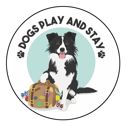 dogs-play-and-stay
